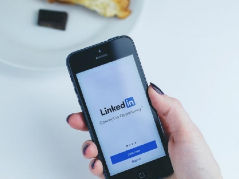 linkedin biografie
